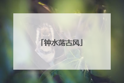 钟水荡古风
