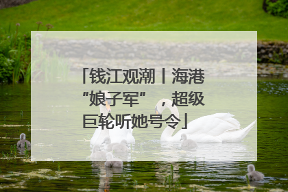 钱江观潮丨海港“娘子军”，超级巨轮听她号令