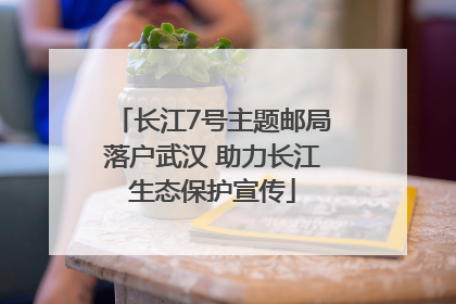 长江7号主题邮局落户武汉 助力长江生态保护宣传