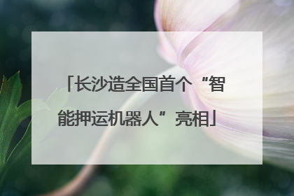 长沙造全国首个“智能押运机器人”亮相