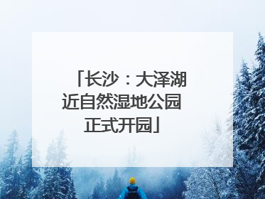 长沙：大泽湖近自然湿地公园正式开园