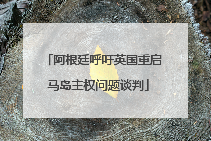 阿根廷呼吁英国重启马岛主权问题谈判