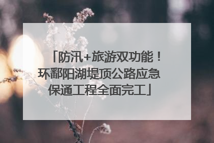 防汛+旅游双功能！环鄱阳湖堤顶公路应急保通工程全面完工
