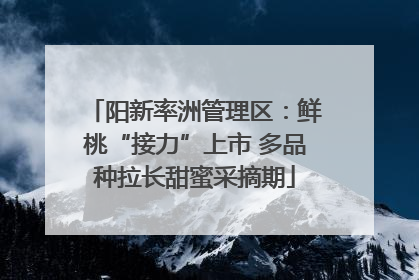 阳新率洲管理区：鲜桃“接力”上市 多品种拉长甜蜜采摘期