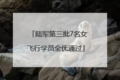 陆军第三批7名女飞行学员全优通过