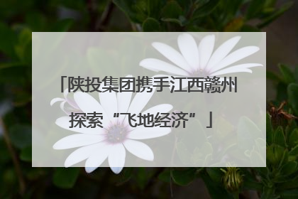 陕投集团携手江西赣州 探索“飞地经济”
