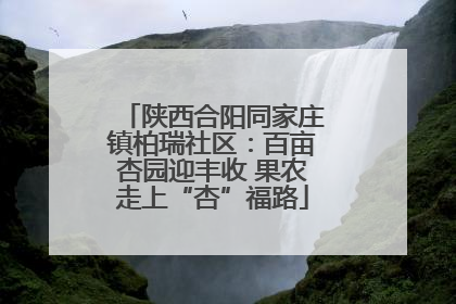 陕西合阳同家庄镇柏瑞社区：百亩杏园迎丰收 果农走上“杏”福路