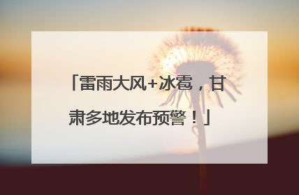 雷雨大风+冰雹，甘肃多地发布预警！