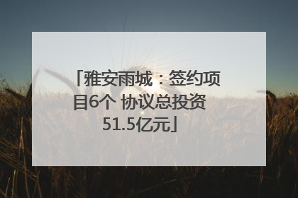 雅安雨城：签约项目6个 协议总投资51.5亿元