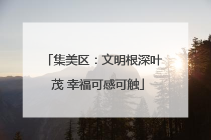 集美区：文明根深叶茂 幸福可感可触