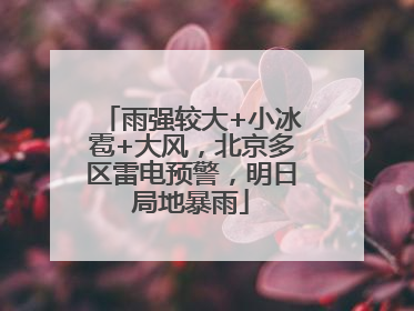 雨强较大+小冰雹+大风，北京多区雷电预警，明日局地暴雨
