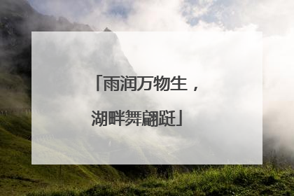 雨润万物生，湖畔舞翩跹