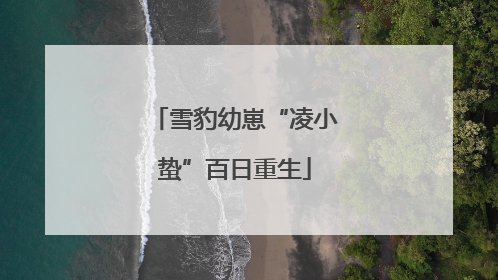 雪豹幼崽“凌小蛰”百日重生