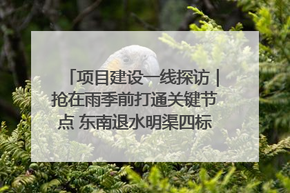 项目建设一线探访｜抢在雨季前打通关键节点 东南退水明渠四标段项目顺利完工