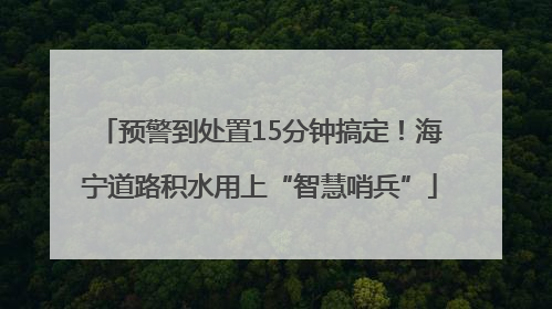预警到处置15分钟搞定！海宁道路积水用上“智慧哨兵”