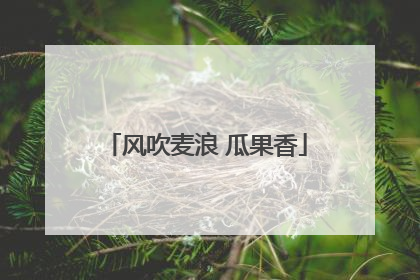 风吹麦浪 瓜果香