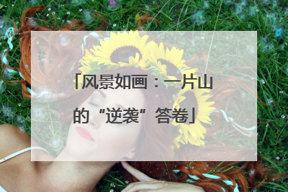 风景如画：一片山的“逆袭”答卷