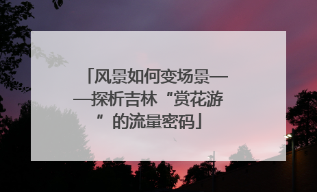 风景如何变场景——探析吉林“赏花游”的流量密码