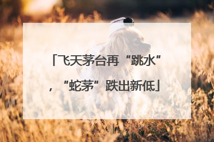 飞天茅台再“跳水”，“蛇茅”跌出新低