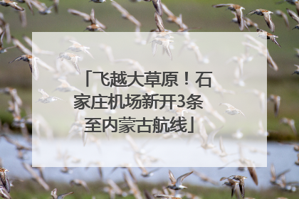 飞越大草原！石家庄机场新开3条至内蒙古航线