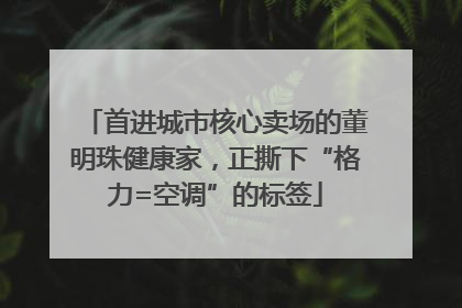 首进城市核心卖场的董明珠健康家，正撕下“格力=空调”的标签