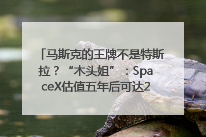 马斯克的王牌不是特斯拉？“木头姐”：SpaceX估值五年后可达2.5万亿美元！