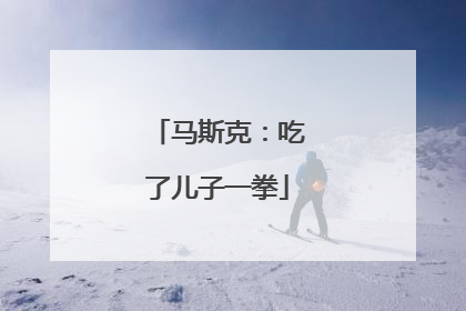 马斯克：吃了儿子一拳