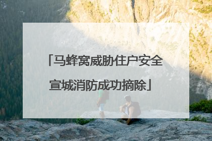 马蜂窝威胁住户安全 宣城消防成功摘除