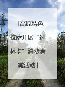 高原特色 拉萨开展“过林卡”消费满减活动