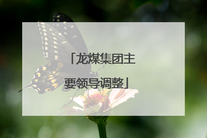 龙煤集团主要领导调整