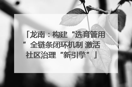 龙南：构建“选育管用”全链条闭环机制 激活社区治理“新引擎”
