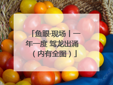 鱼眼·现场丨一年一度 驾龙出涌（内有全图）