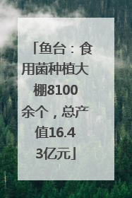 鱼台：食用菌种植大棚8100余个，总产值16.43亿元