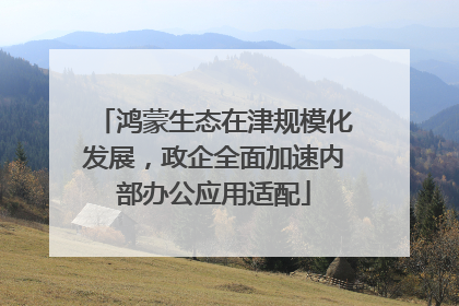 鸿蒙生态在津规模化发展，政企全面加速内部办公应用适配