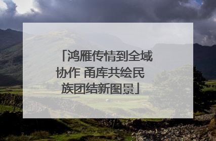 鸿雁传情到全域协作 甬库共绘民族团结新图景