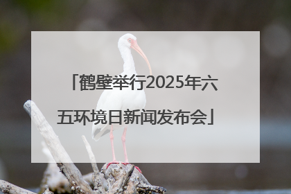 鹤壁举行2025年六五环境日新闻发布会