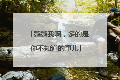 鹮鹮我啊，多的是你不知道的事儿