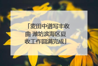 麦田中谱写丰收曲 潍坊滨海区夏收工作圆满完成