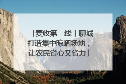 麦收第一线丨聊城打造集中晾晒场地，让农民省心又省力