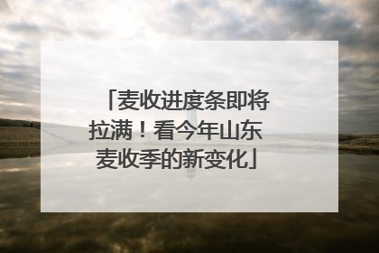麦收进度条即将拉满！看今年山东麦收季的新变化