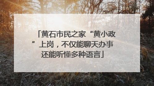 黄石市民之家“黄小政”上岗，不仅能聊天办事还能听懂多种语言