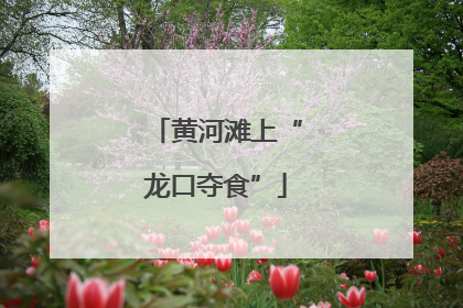 黄河滩上“龙口夺食”
