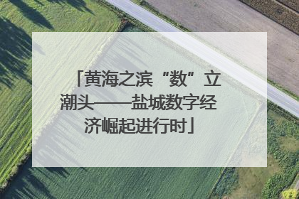 黄海之滨“数”立潮头——盐城数字经济崛起进行时