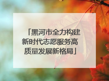 黑河市全力构建新时代志愿服务高质量发展新格局