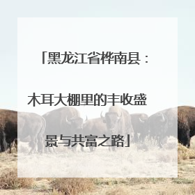 黑龙江省桦南县：木耳大棚里的丰收盛景与共富之路