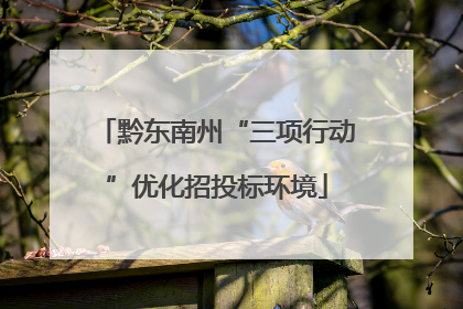 黔东南州“三项行动”优化招投标环境