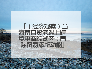 （经济观察）当海南自贸港遇上跨境电商综试区：国际贸易添新动能