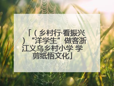 （乡村行·看振兴）“洋学生”做客浙江义乌乡村小学 学剪纸悟文化