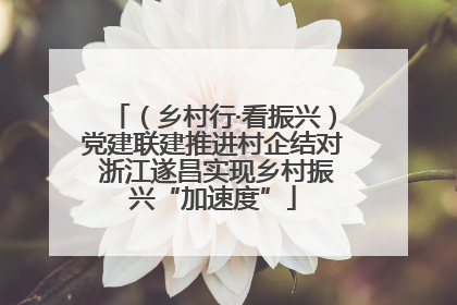 （乡村行·看振兴）党建联建推进村企结对 浙江遂昌实现乡村振兴“加速度”
