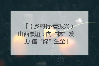 （乡村行·看振兴）山西襄垣：向“林”发力 借“绿”生金